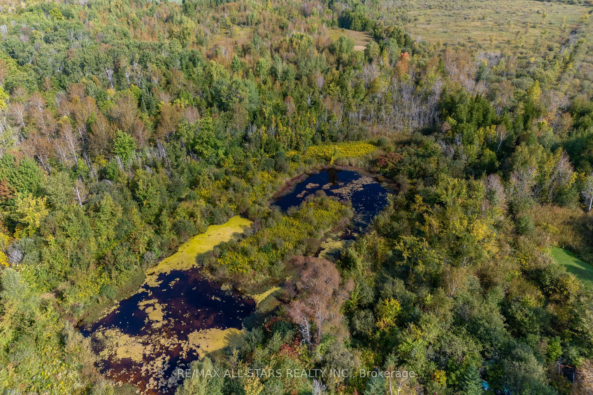 Lot 1 Four Points Rd Property Photo 27