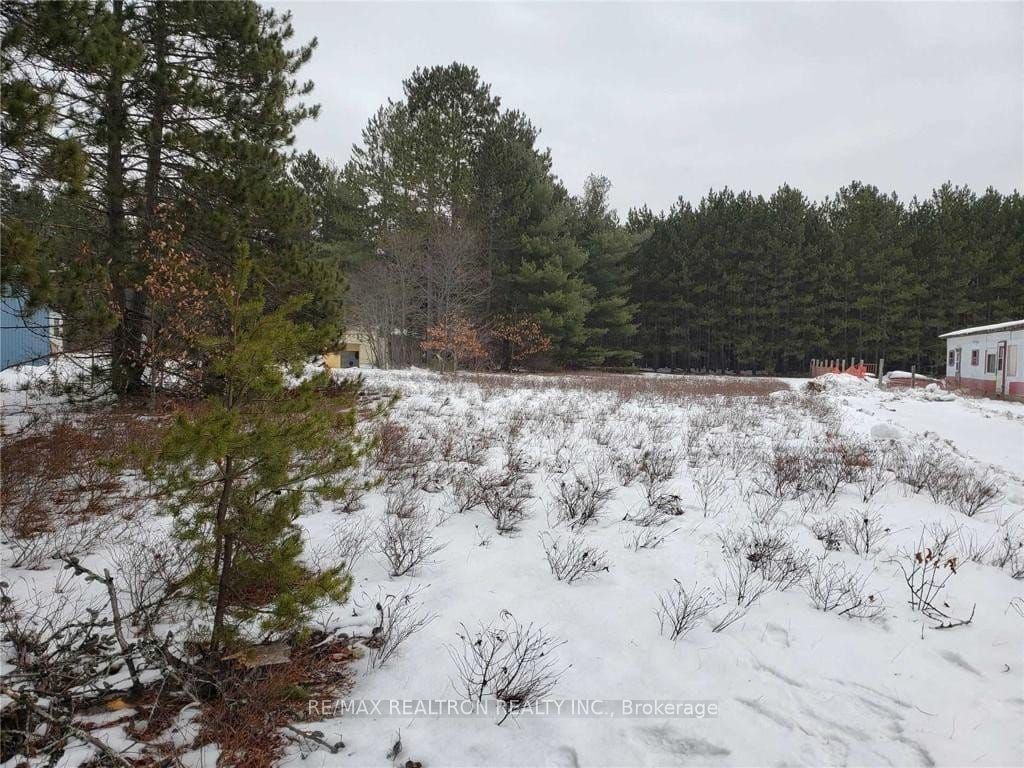 39780 Combermere Road Property Photo 5