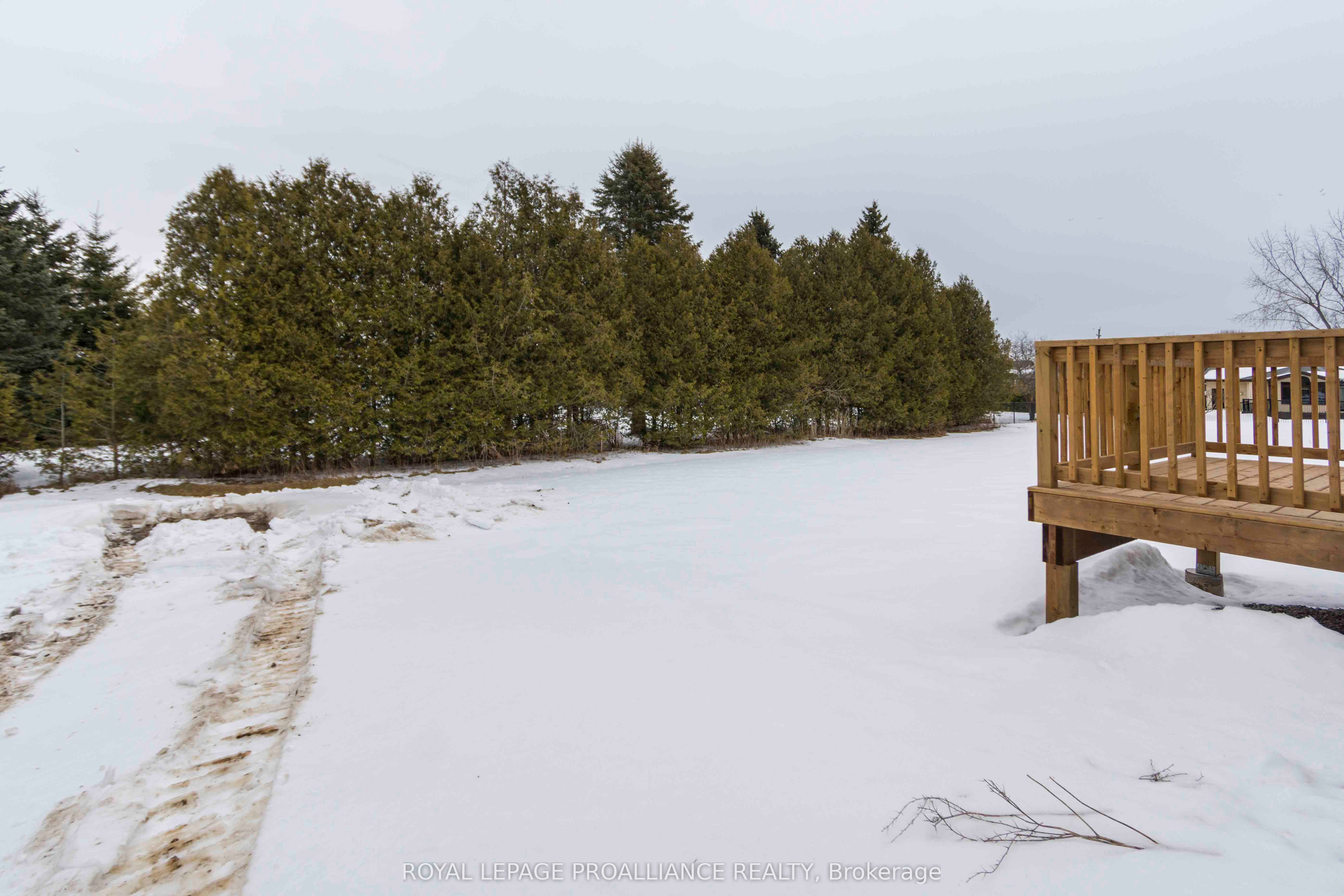 9 Clayton John Avenue Property Photo 24