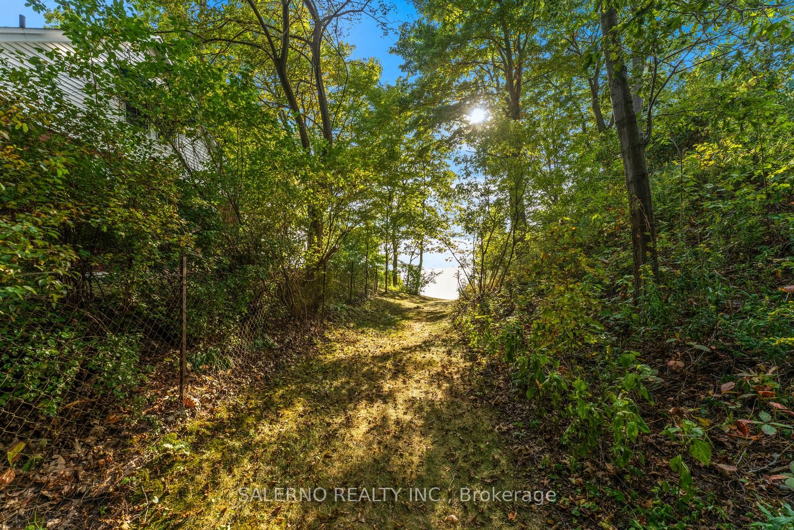 10165 Cedar Crest Rd Property Photo 30