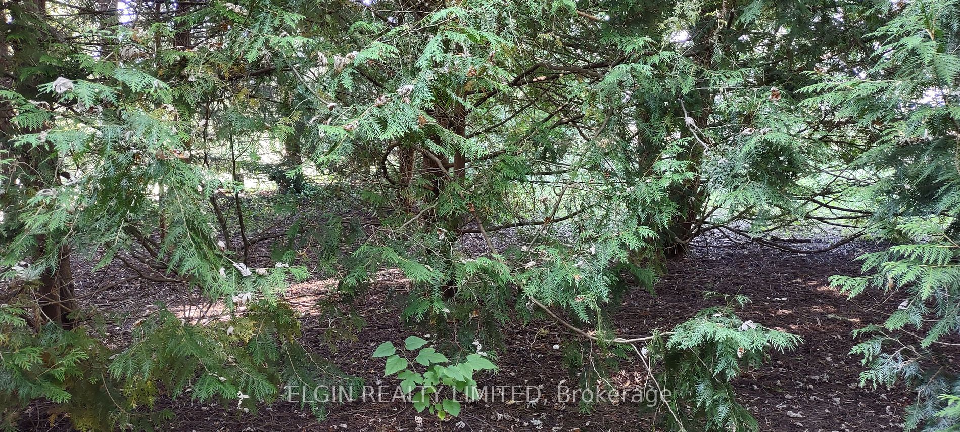 8202 Union Rd Property Photo 22