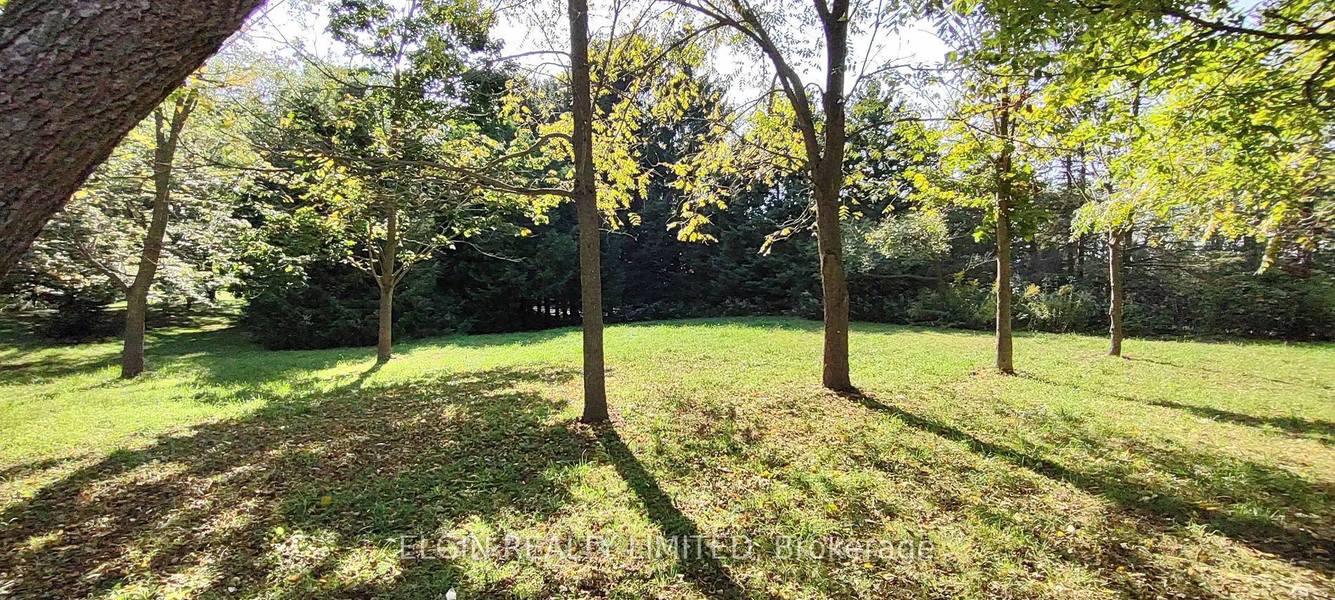 8202 Union Rd Property Photo 23