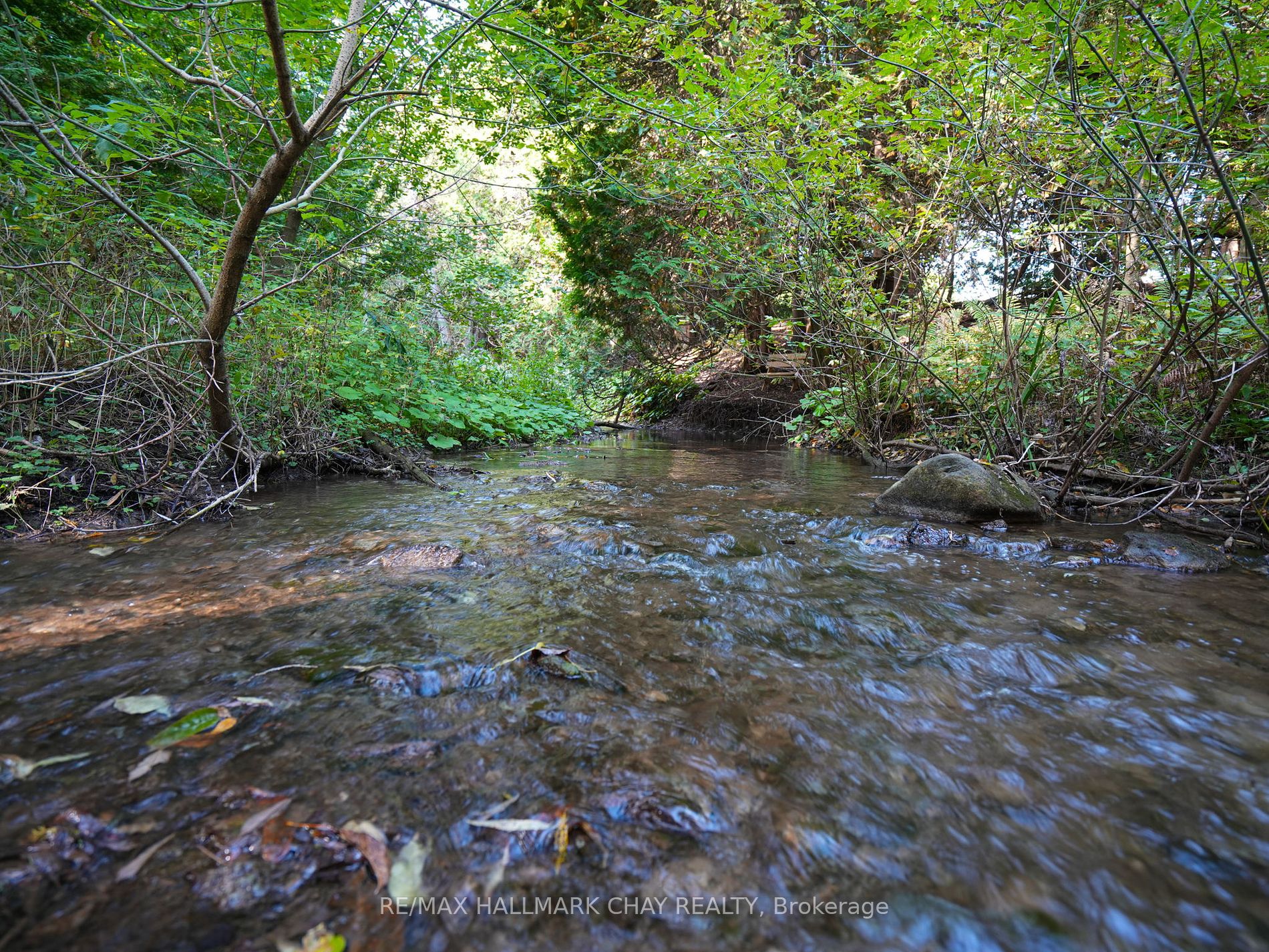 956249 7th Line Property Photo 29