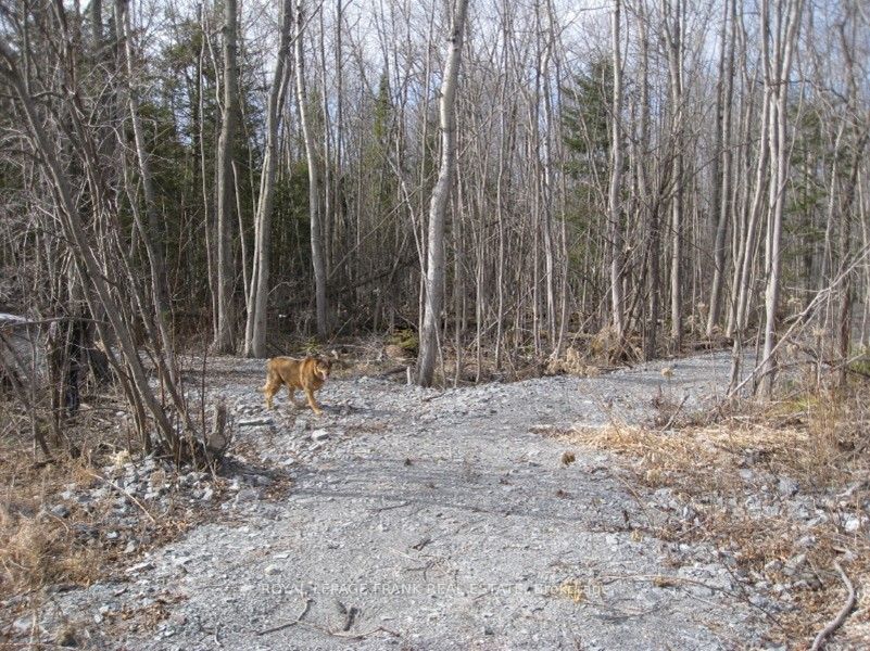 0 Mervin Line Property Photo 3
