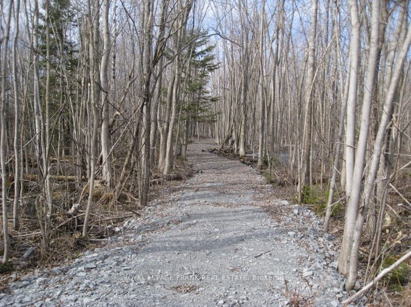 0 Mervin Line Property Photo 4