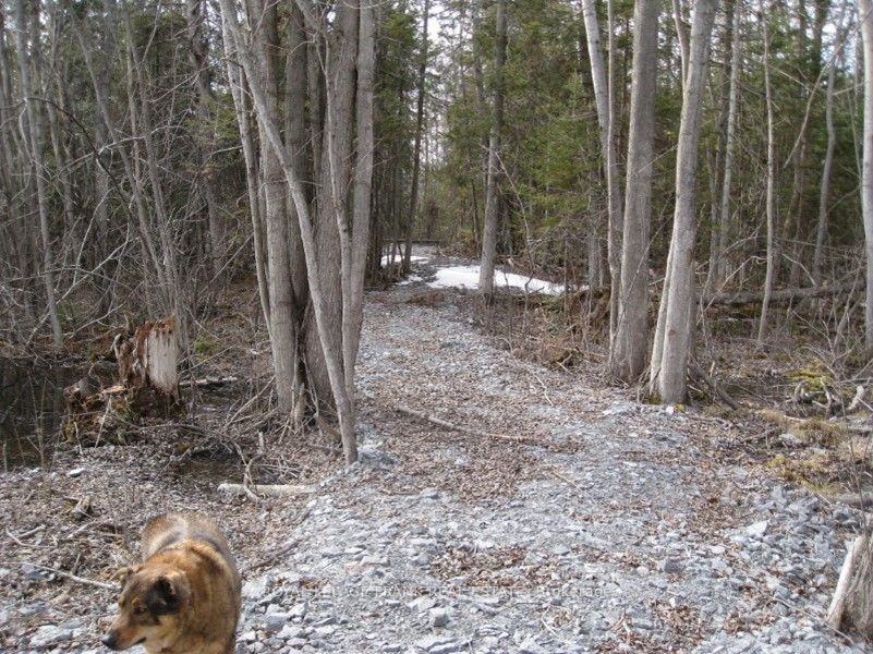 0 Mervin Line Property Photo 5