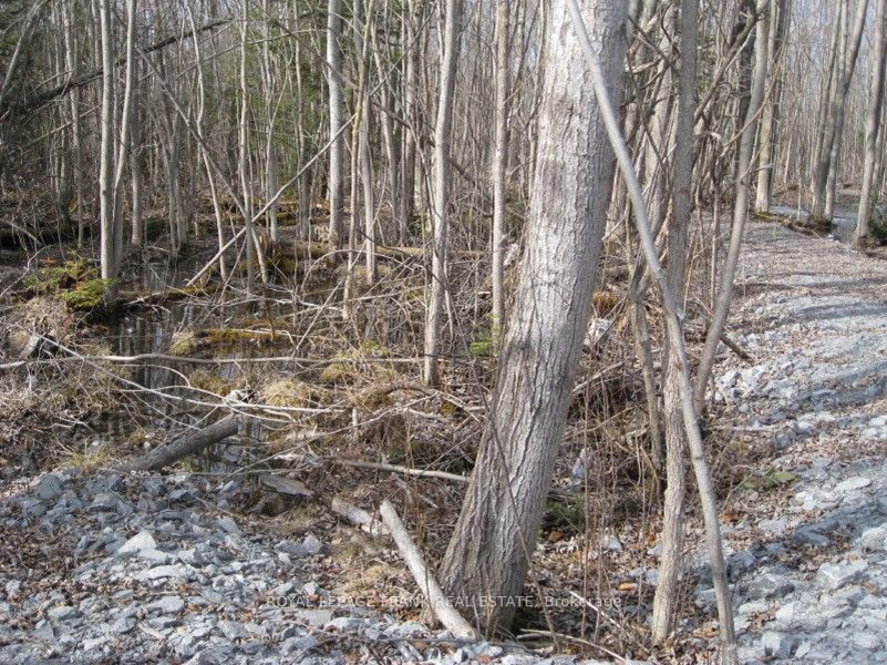 0 Mervin Line Property Photo 6