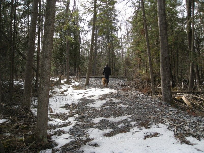 0 Mervin Line Property Photo 8
