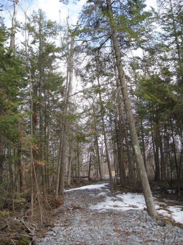 0 Mervin Line Property Photo 9