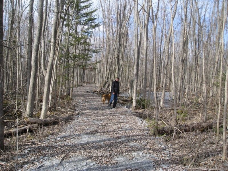0 Mervin Line Property Photo 10