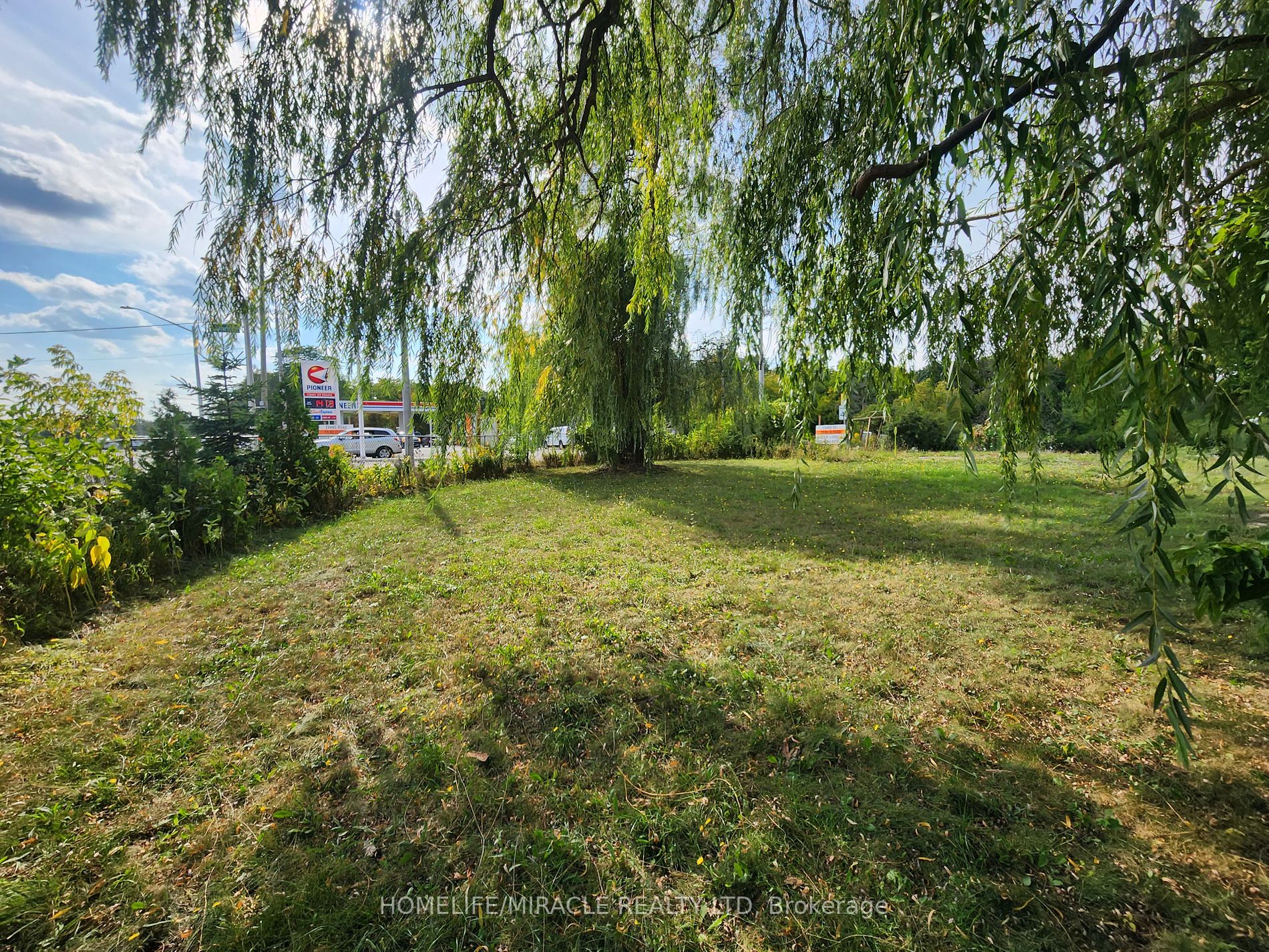 559 Dundas St E Property Photo 3