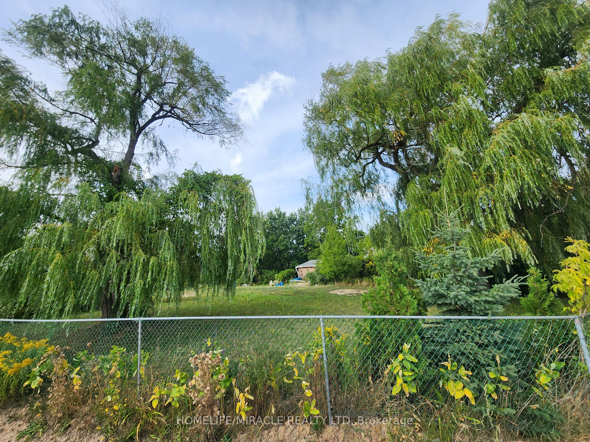 559 Dundas St E Property Photo 4