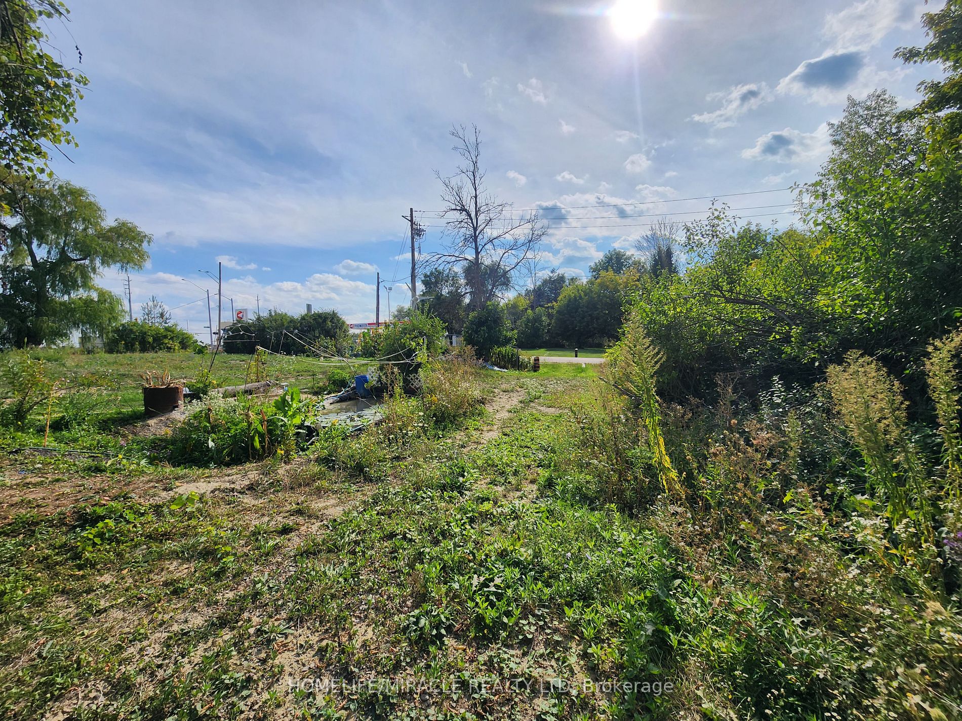559 Dundas St E Property Photo 15