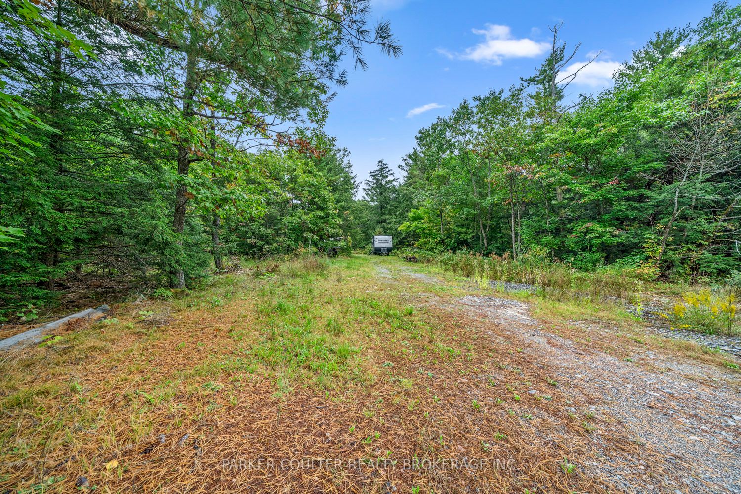 175 North Sandy Plains Road Property Photo 5