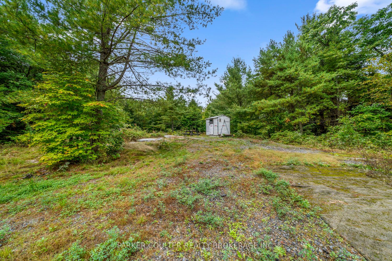 175 North Sandy Plains Road Property Photo 8