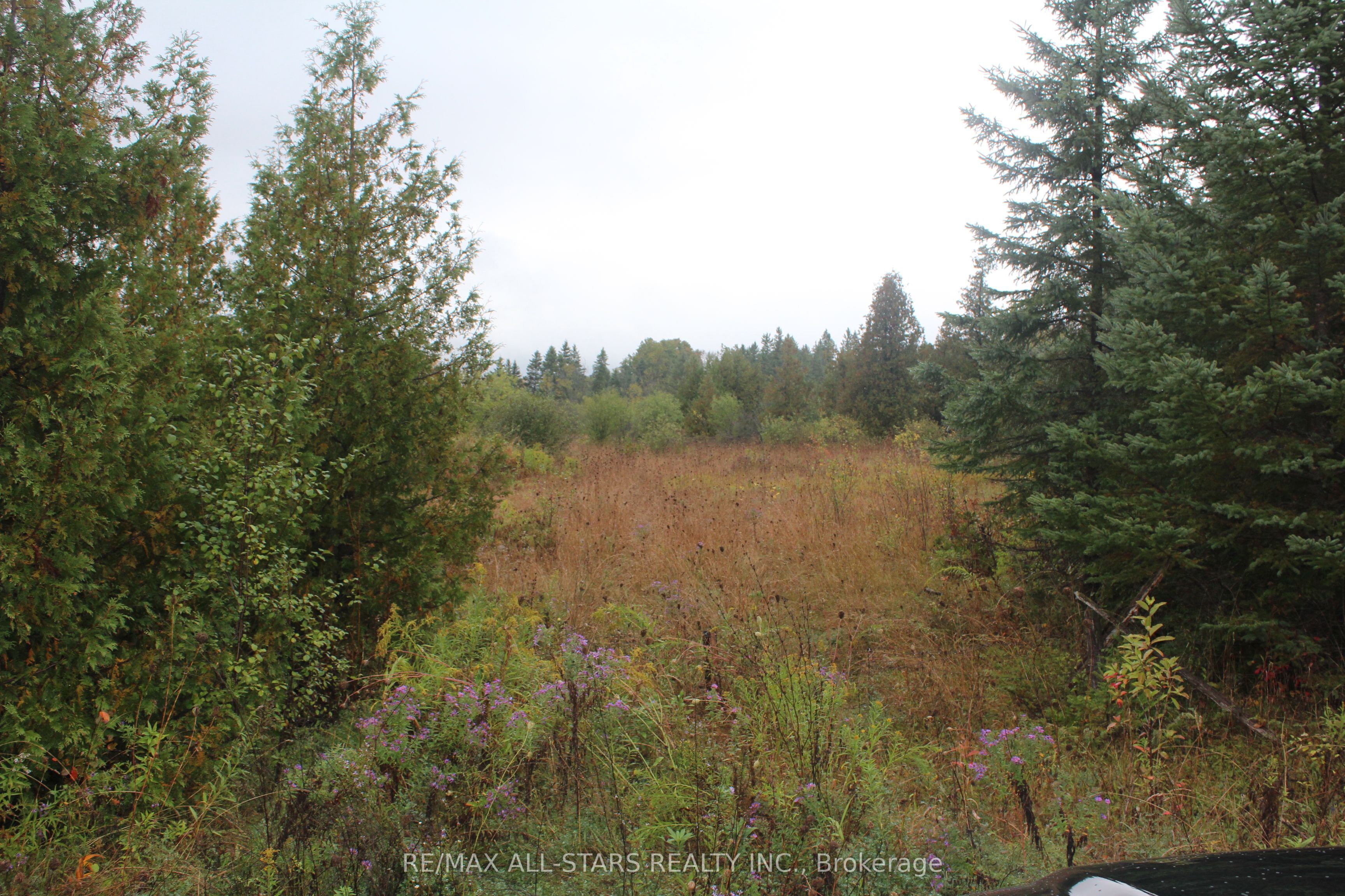 Pt Lt 2 Talbot River Road Property Photo 2