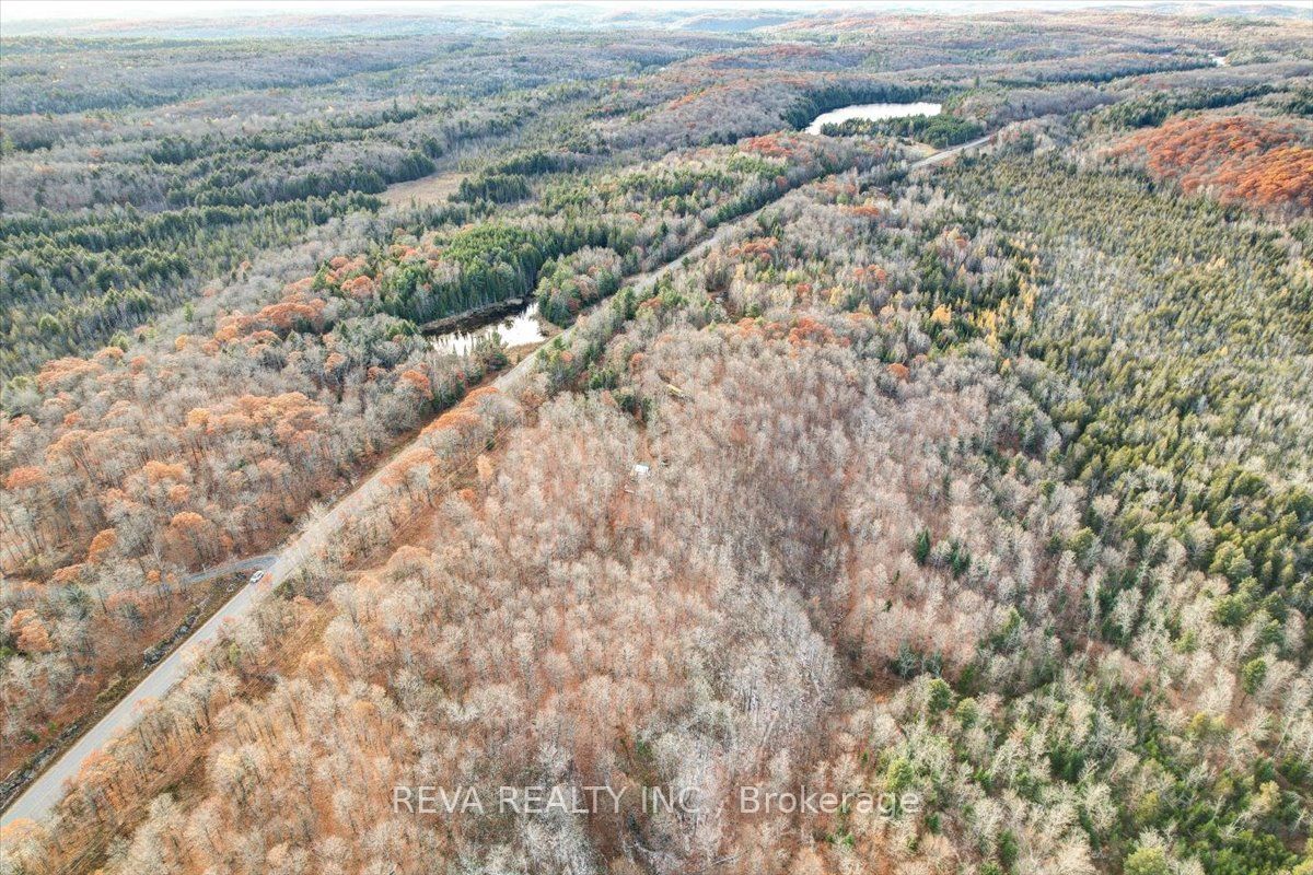 603 Buckshot Lake Road Property Photo 3