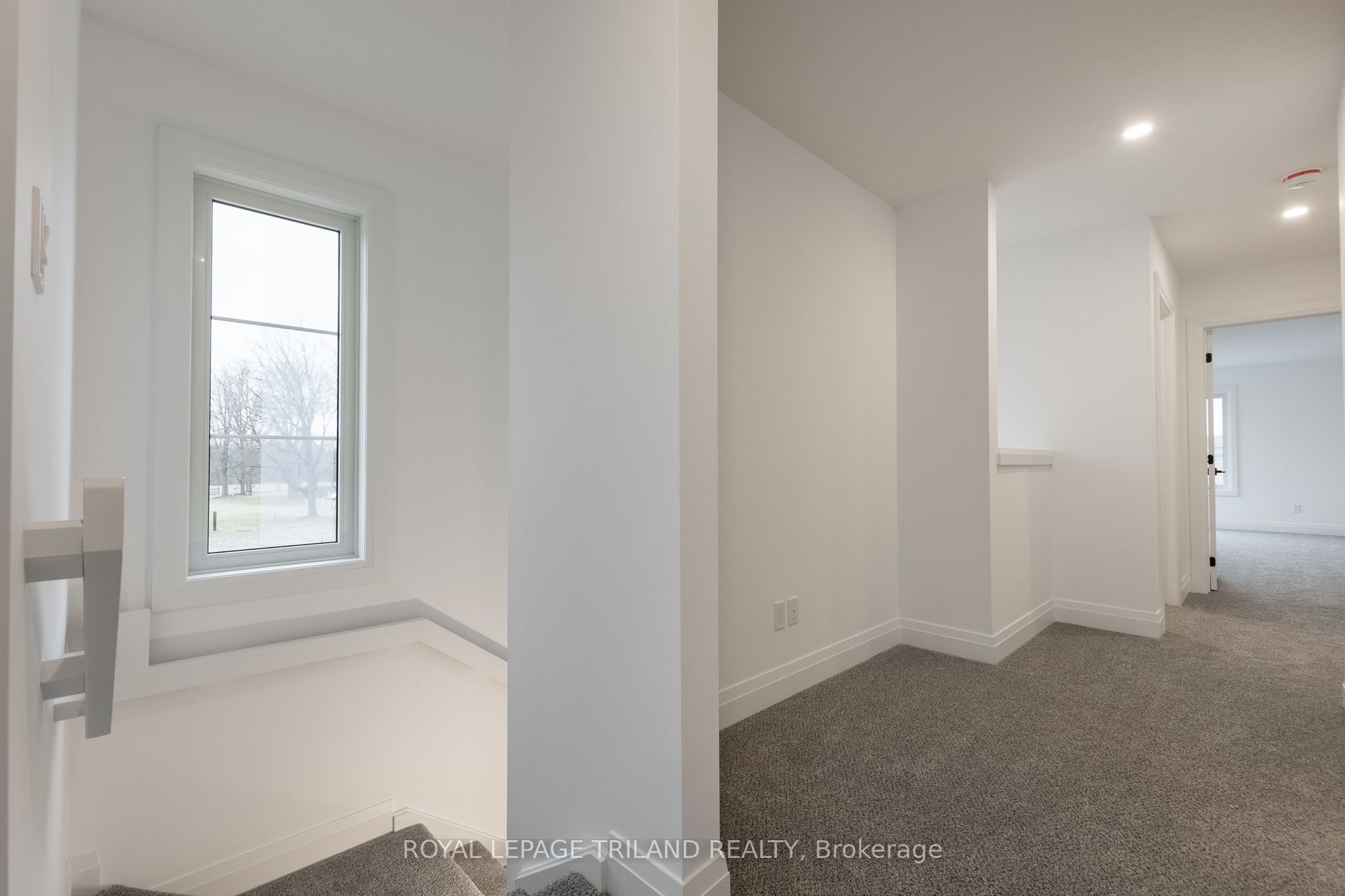 103 Willis Ave Property Photo 22