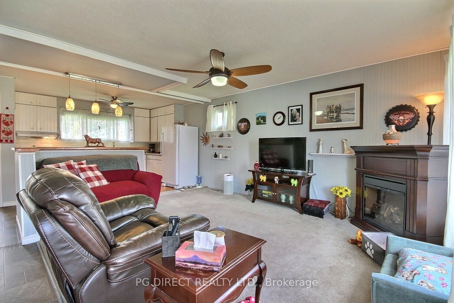 24 Mcnichol Avenue Property Photo 7