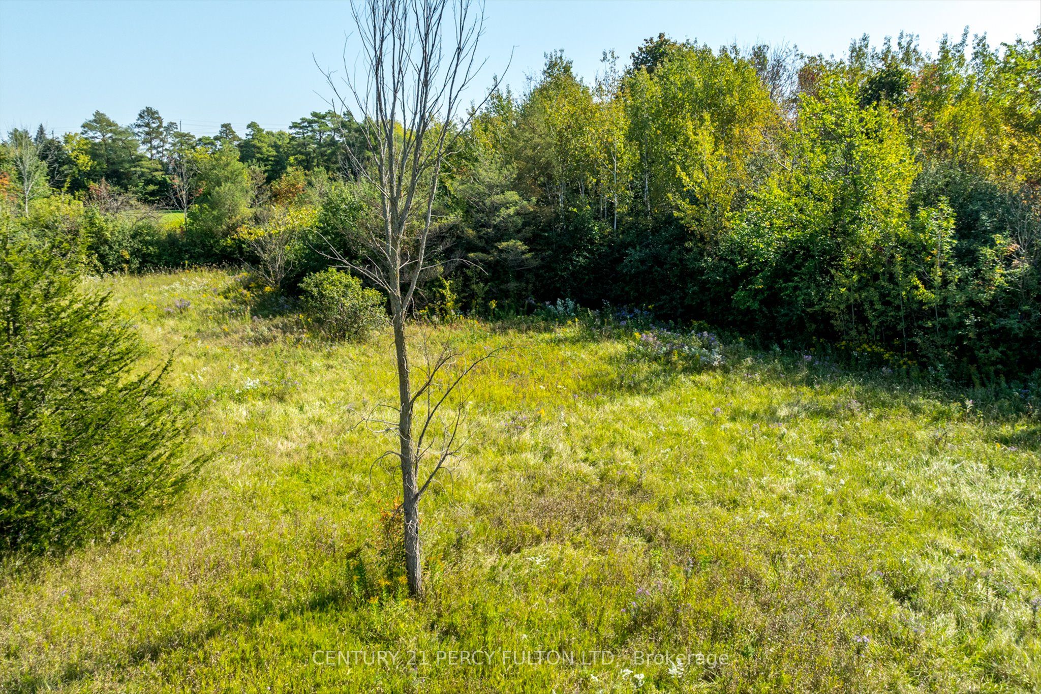 0 Eastview Road Property Photo 9