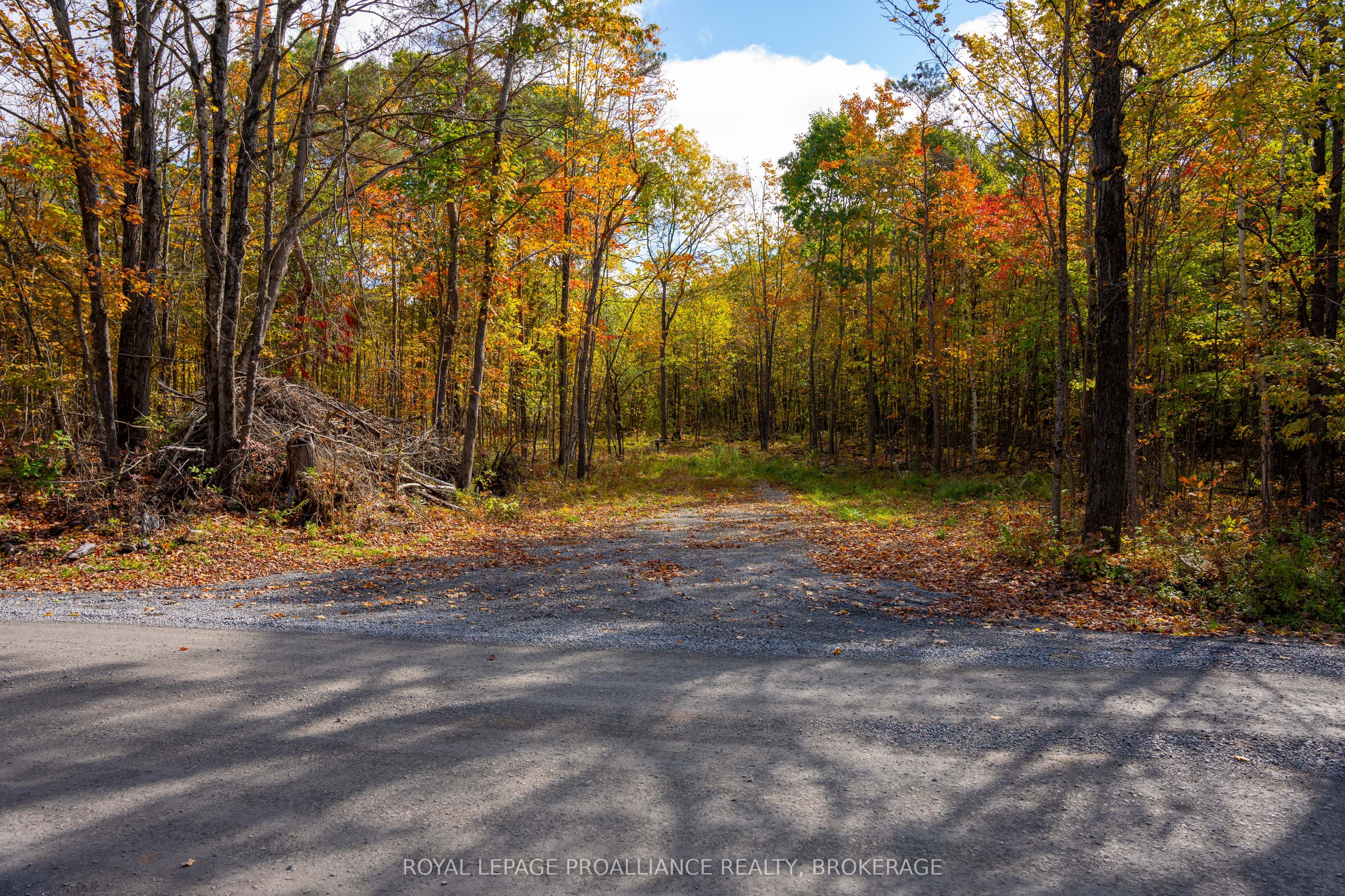 Pl12&13 Devil Lake Road Property Photo 1
