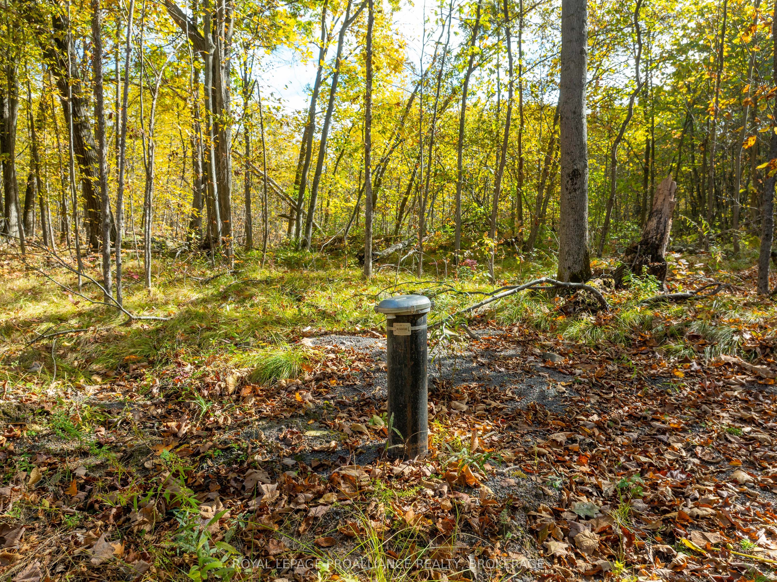 Pl12&13 Devil Lake Road Property Photo 9