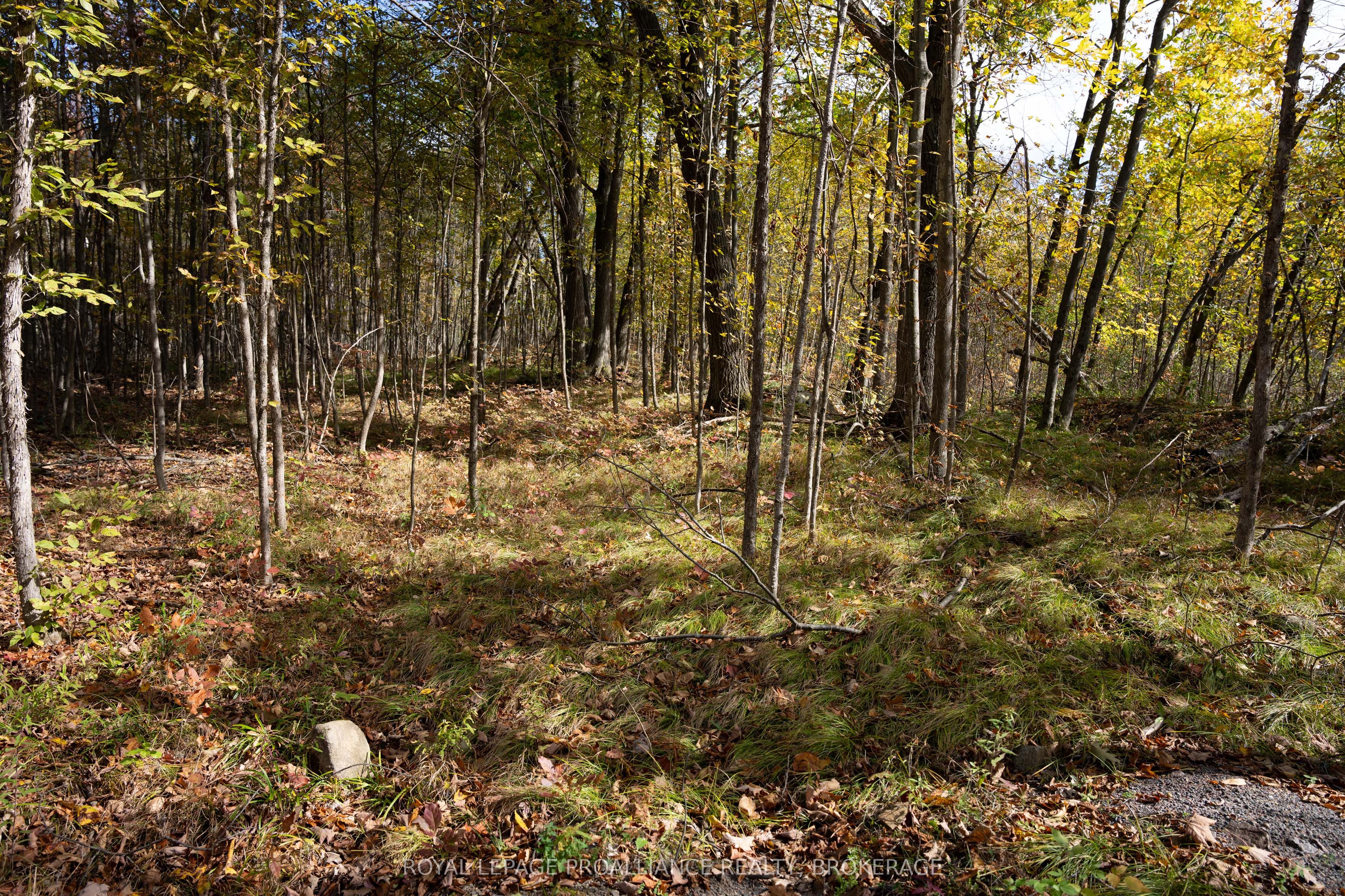 Pl12&13 Devil Lake Road Property Photo 12