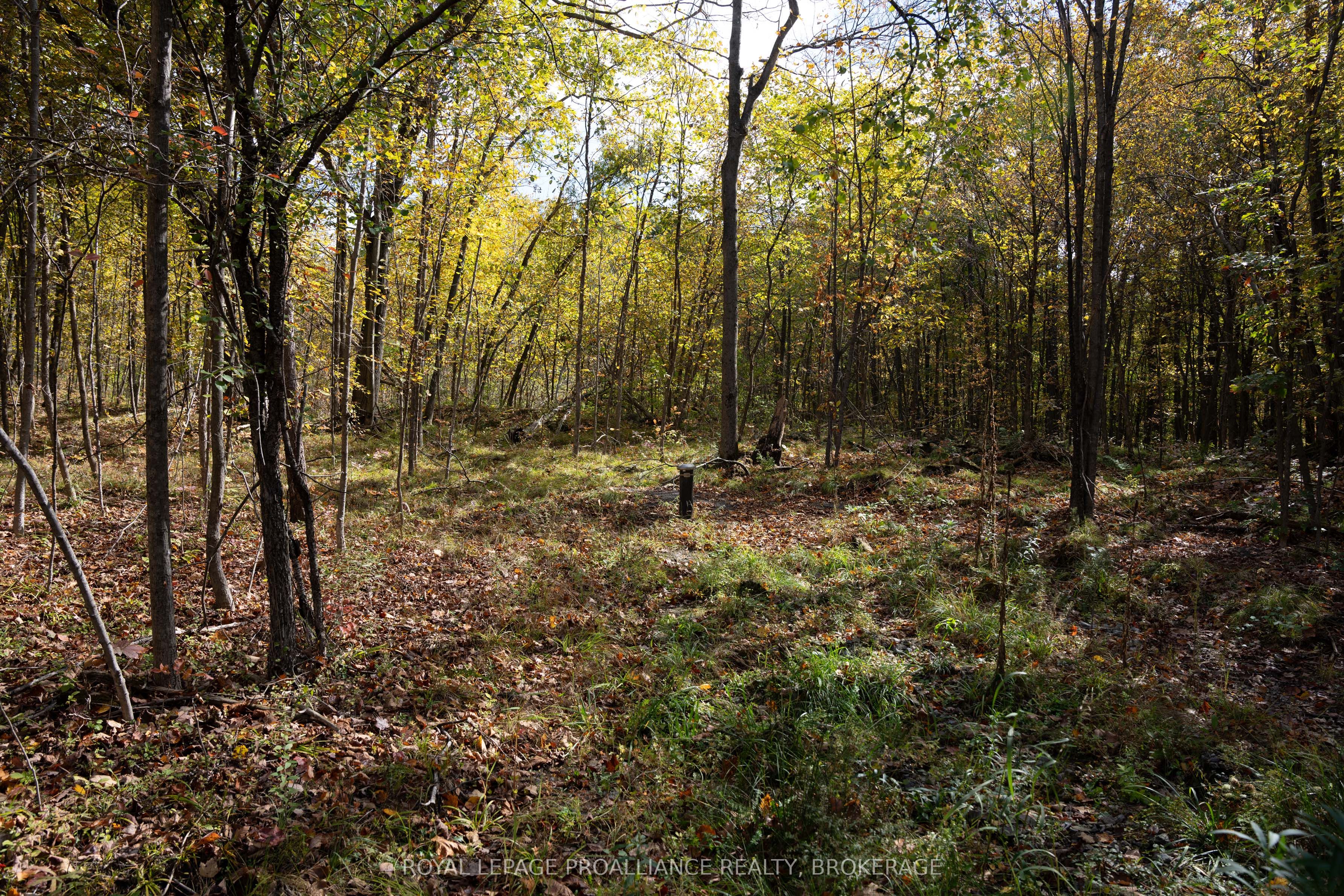 Pl12&13 Devil Lake Road Property Photo 13