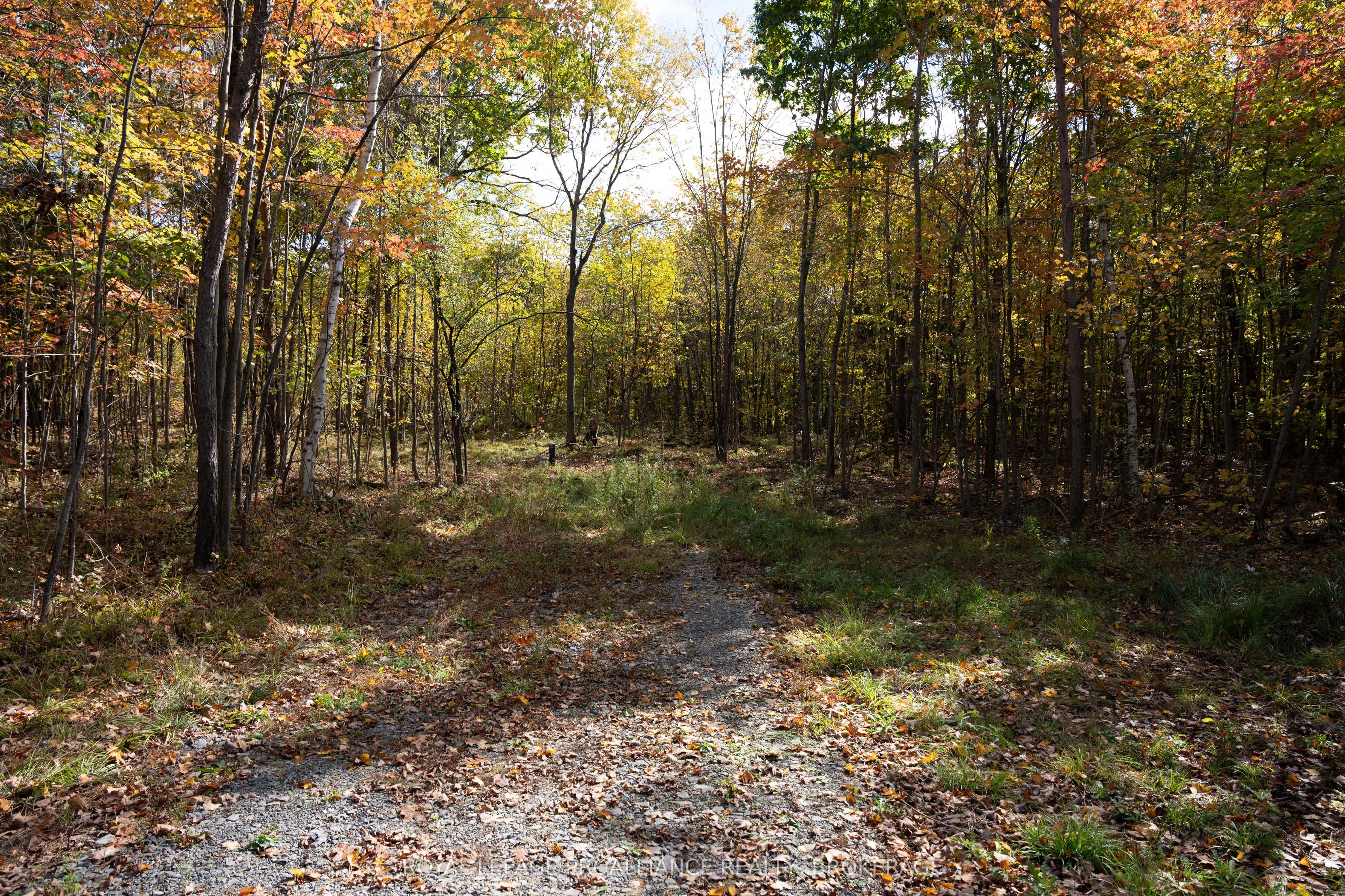 Pl12&13 Devil Lake Road Property Photo 14