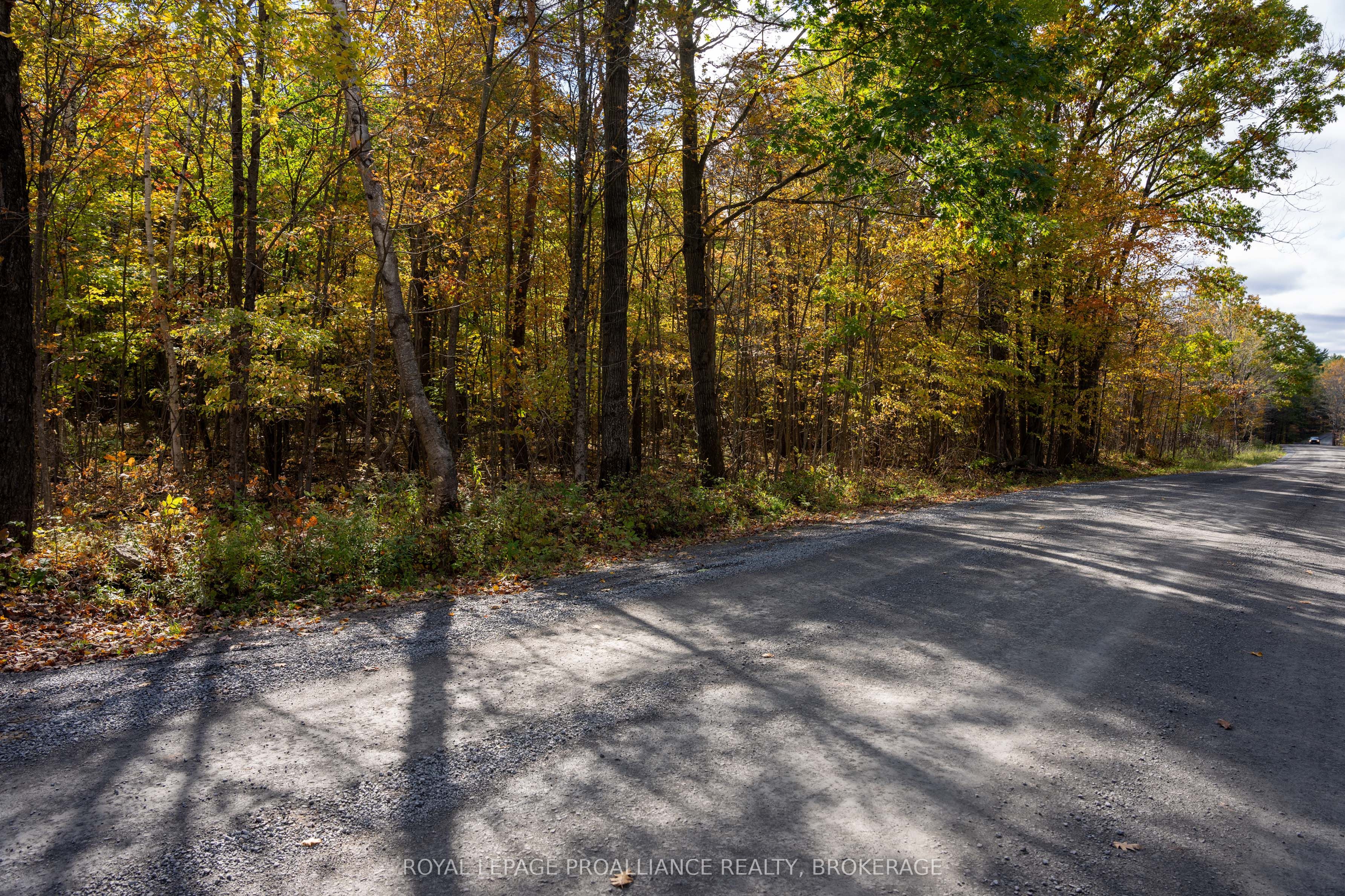 Pl12&13 Devil Lake Road Property Photo 15