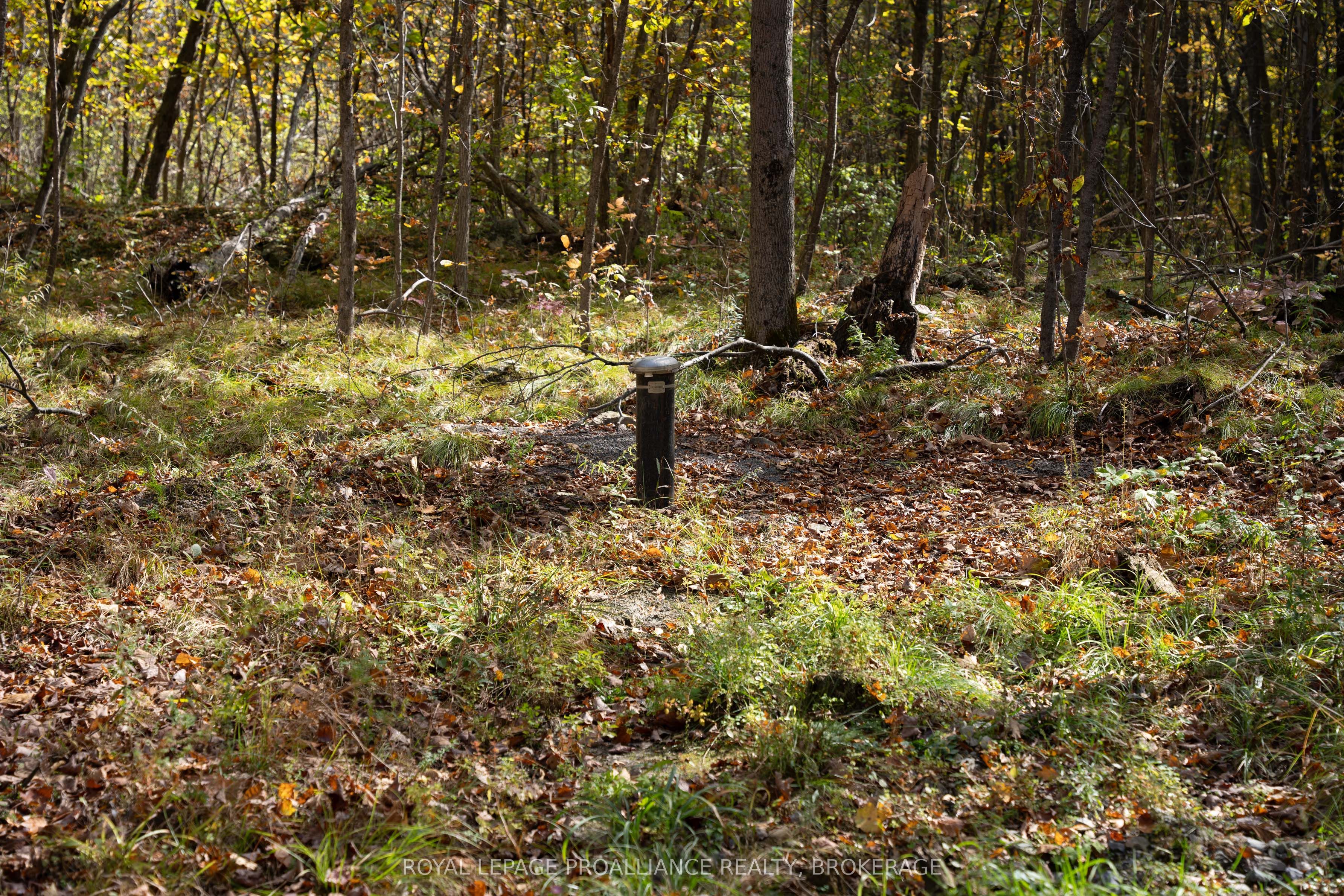 Pl12&13 Devil Lake Road Property Photo 16