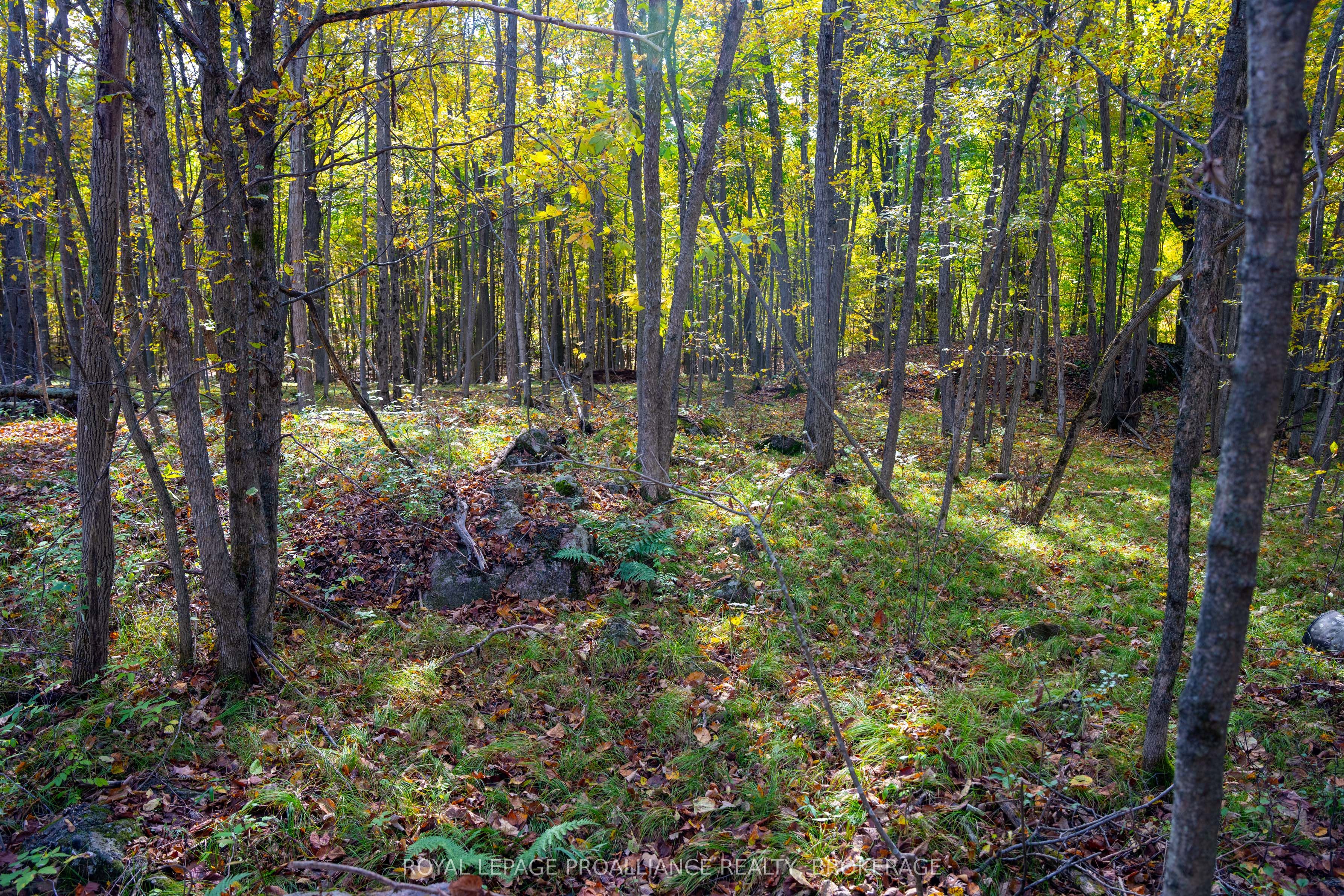 Pl12&13 Devil Lake Road Property Photo 17