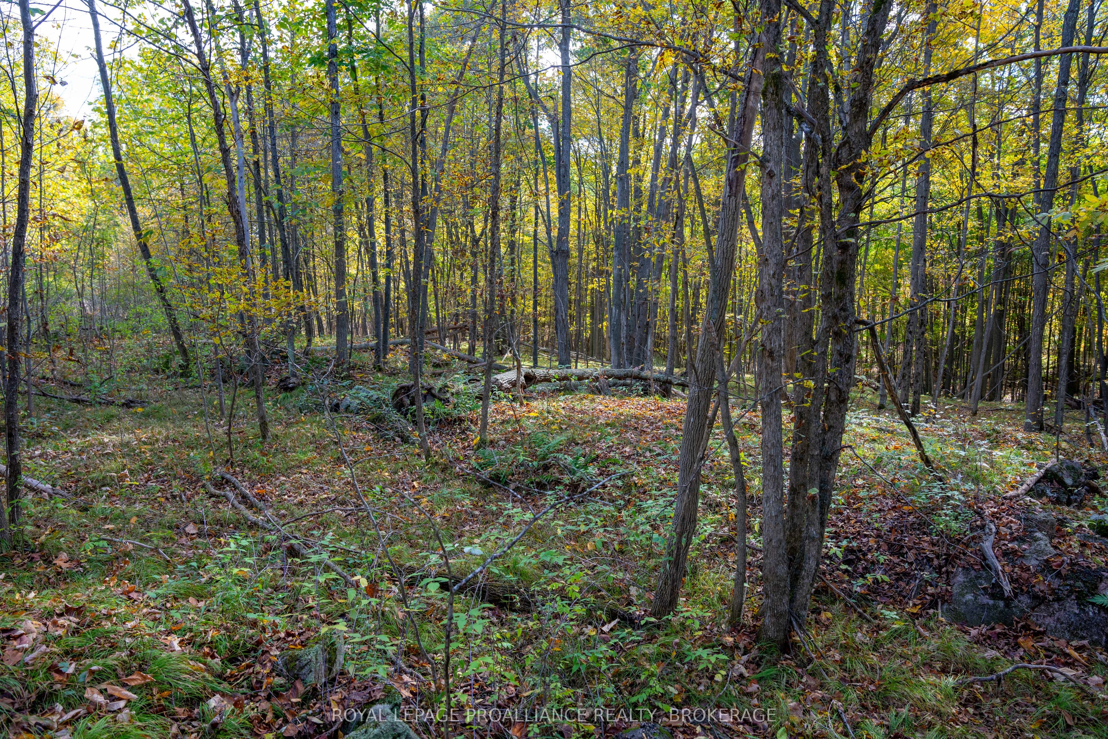 Pl12&13 Devil Lake Road Property Photo 18