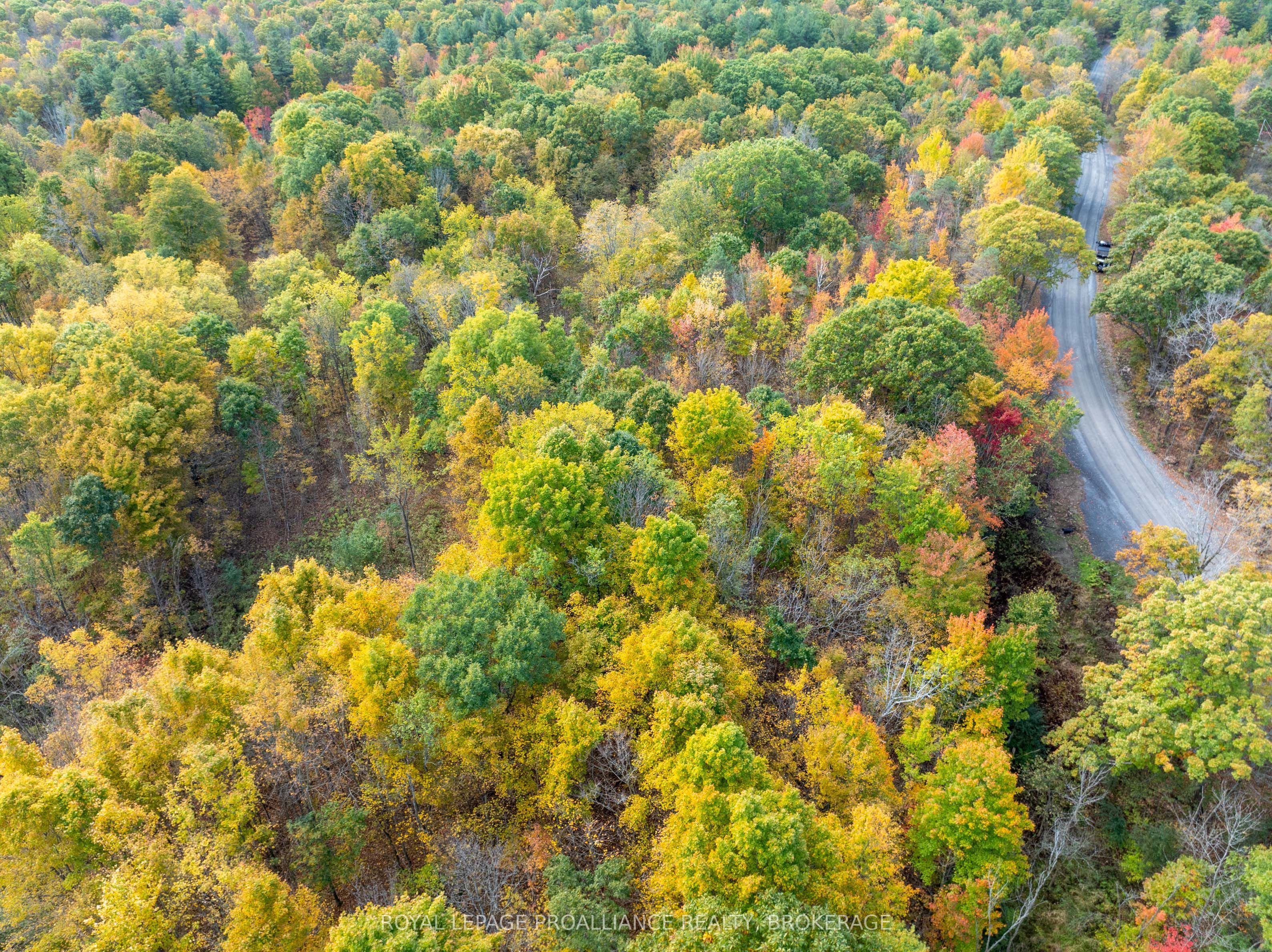 Pl12&13 Devil Lake Road Property Photo 20