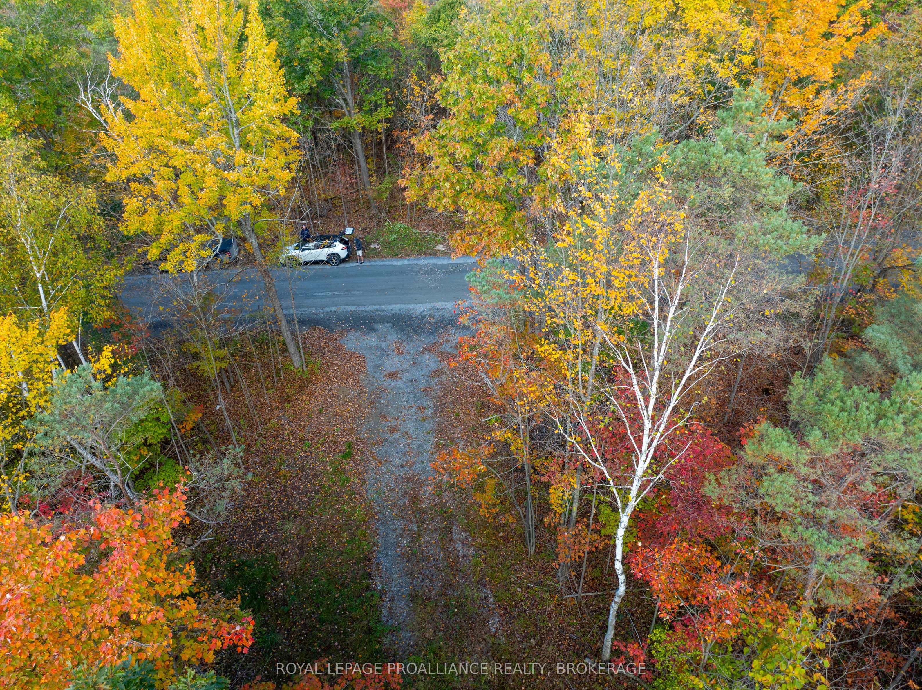 Pl12&13 Devil Lake Road Property Photo 29