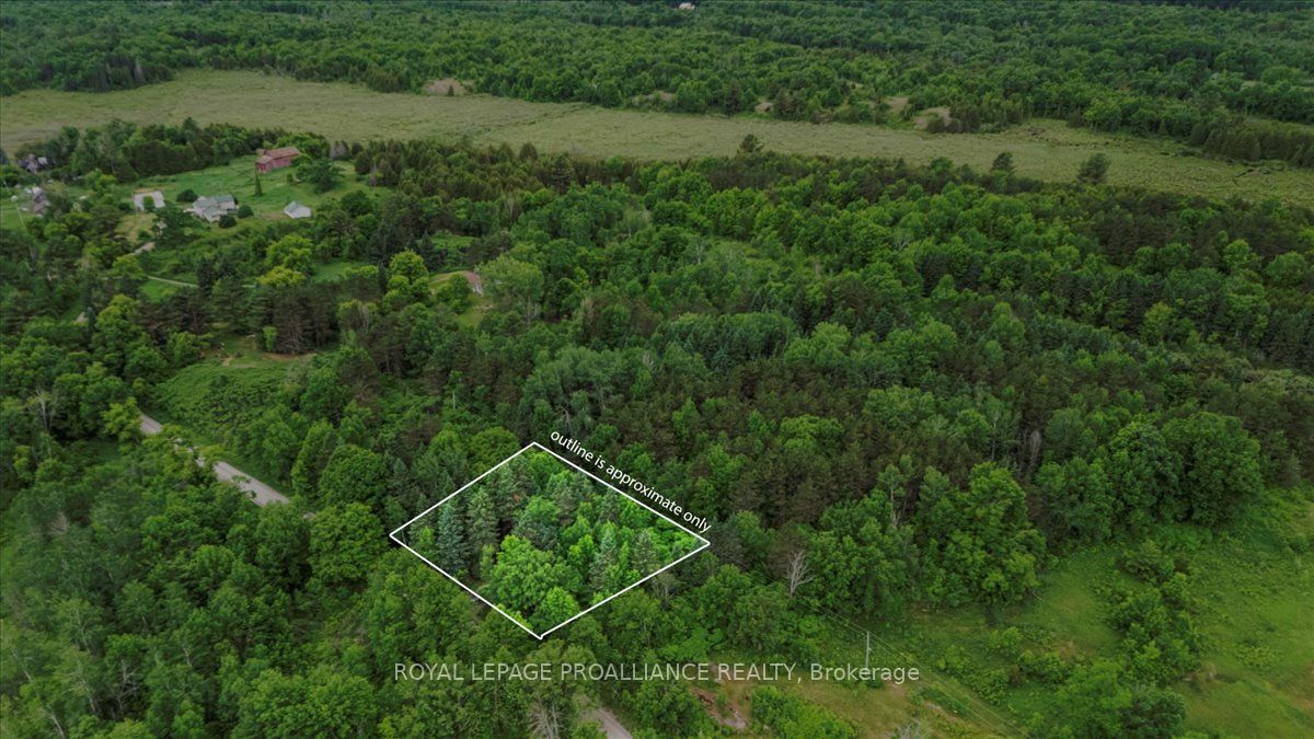 0 Otter Creek Road Property Photo 1