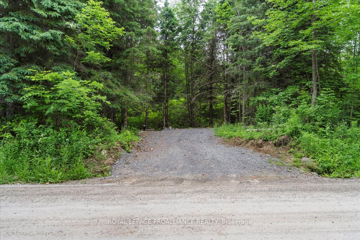 0 Otter Creek Road Property Photo 2