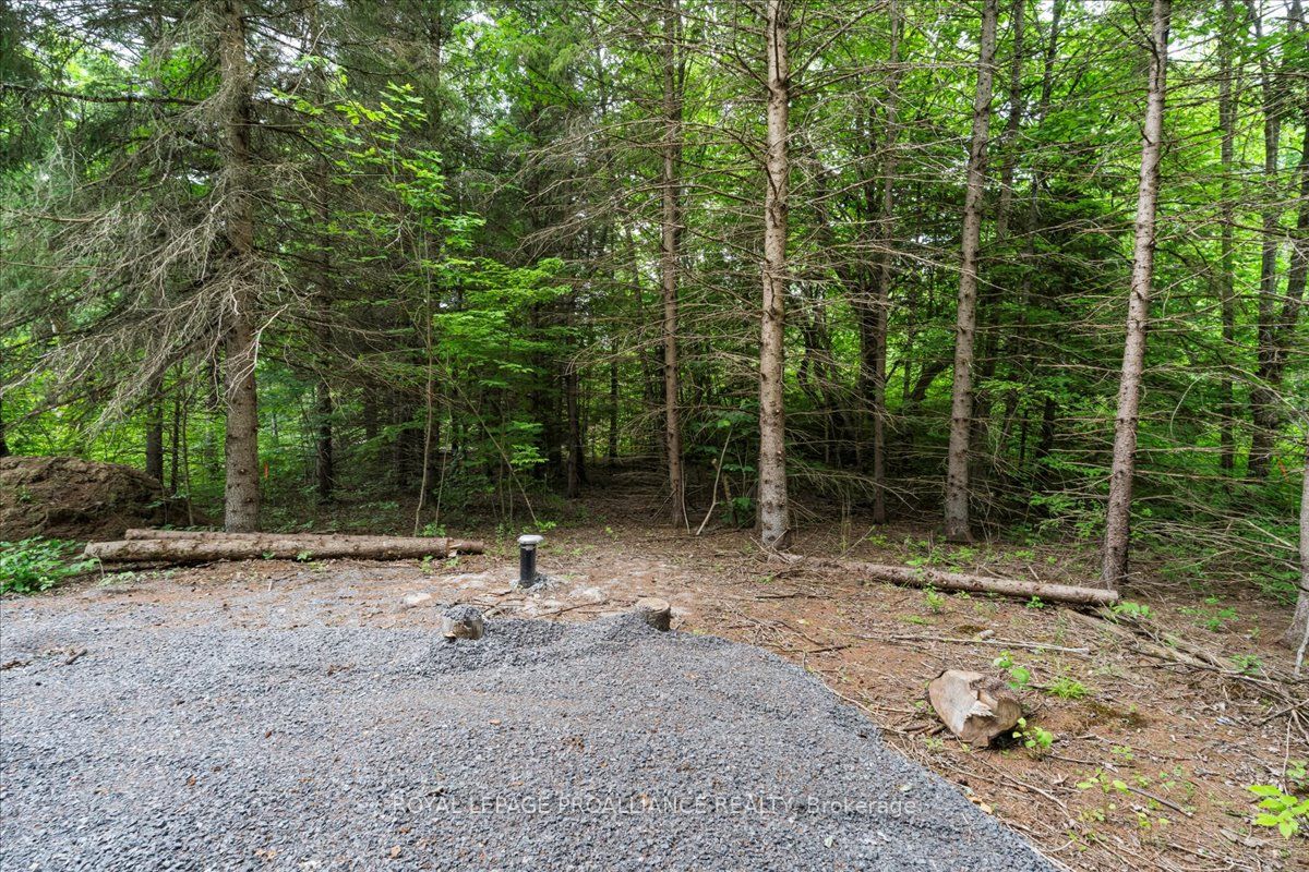 0 Otter Creek Road Property Photo 3