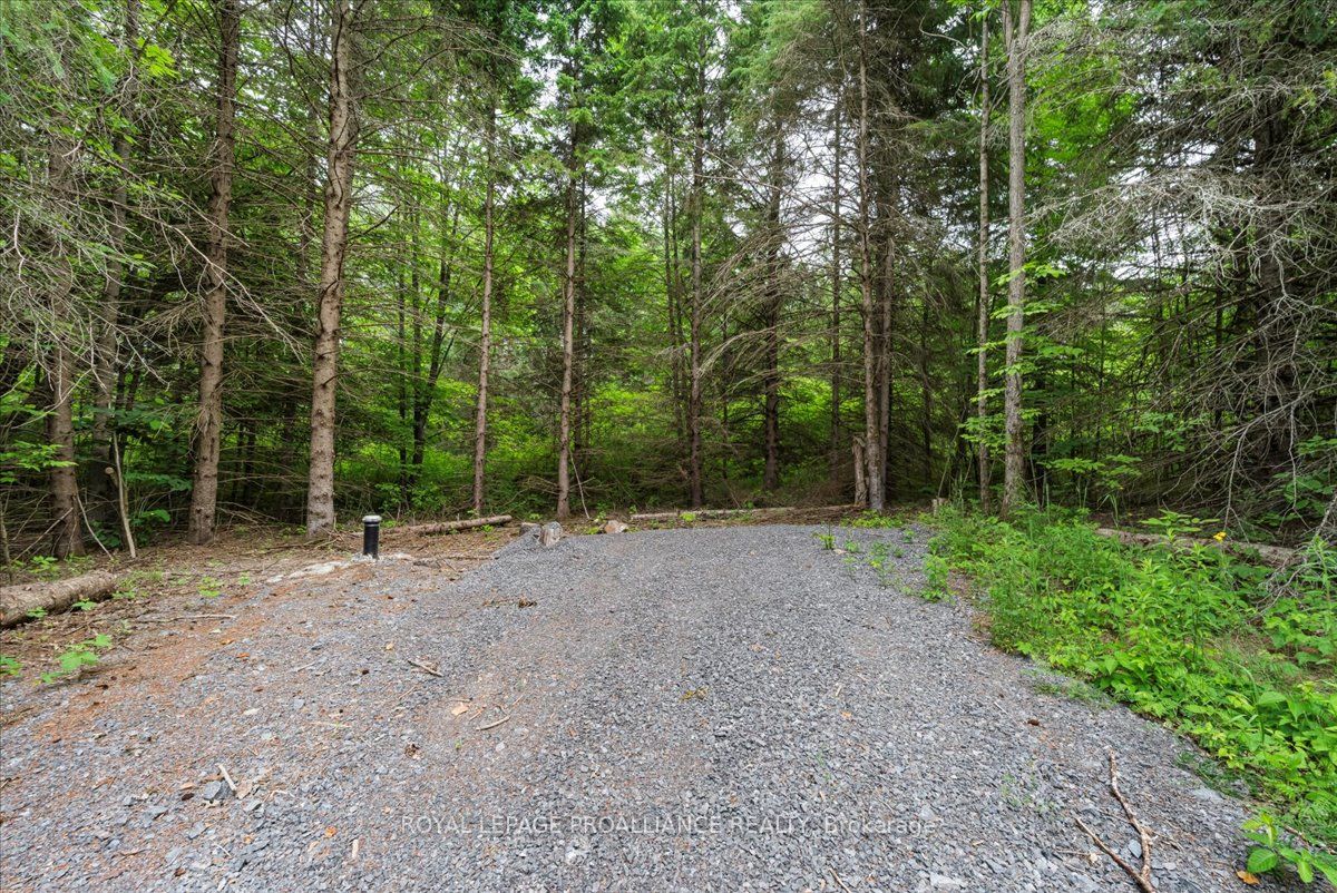 0 Otter Creek Road Property Photo 4