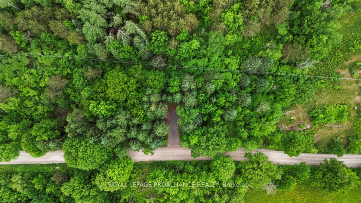 0 Otter Creek Road Property Photo 6