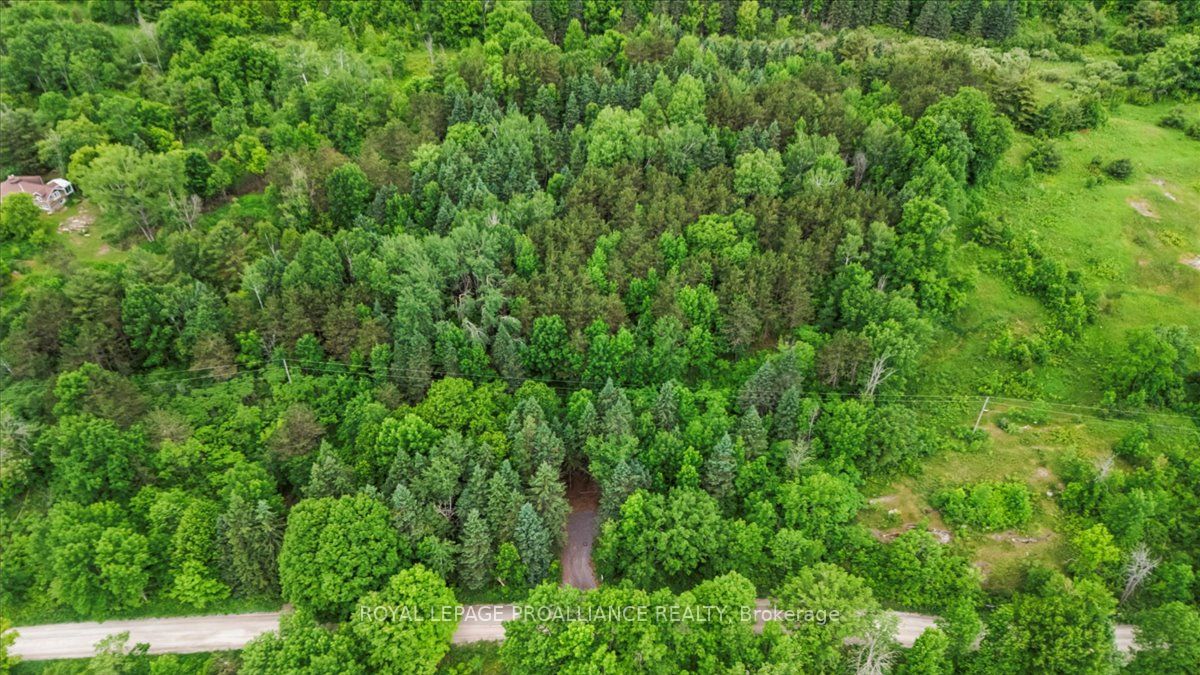 0 Otter Creek Road Property Photo 7