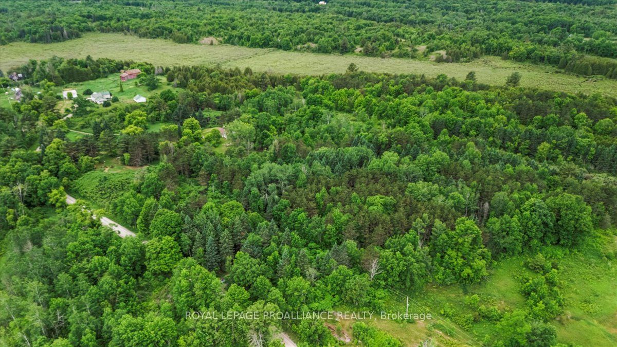 0 Otter Creek Road Property Photo 8