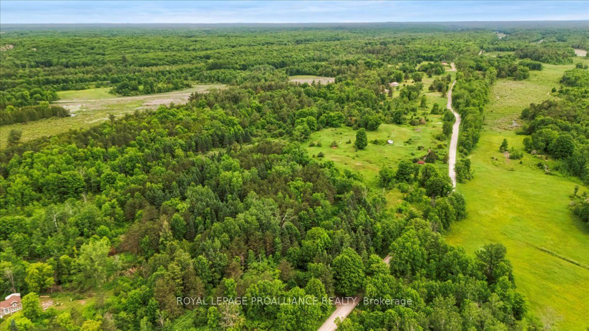 0 Otter Creek Road Property Photo 11