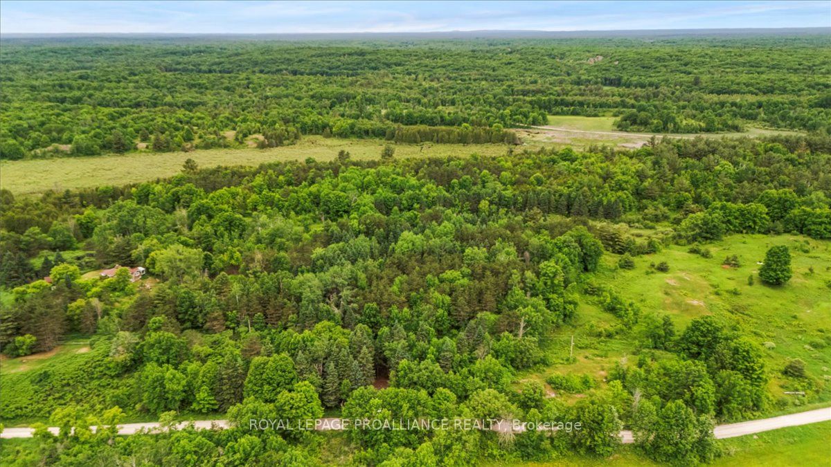 0 Otter Creek Road Property Photo 12