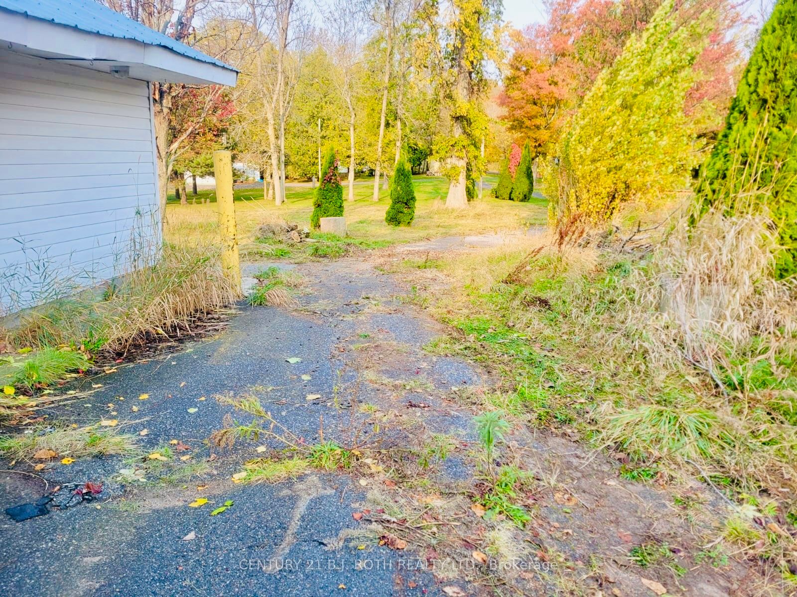 270 Pierre Road Property Photo 12
