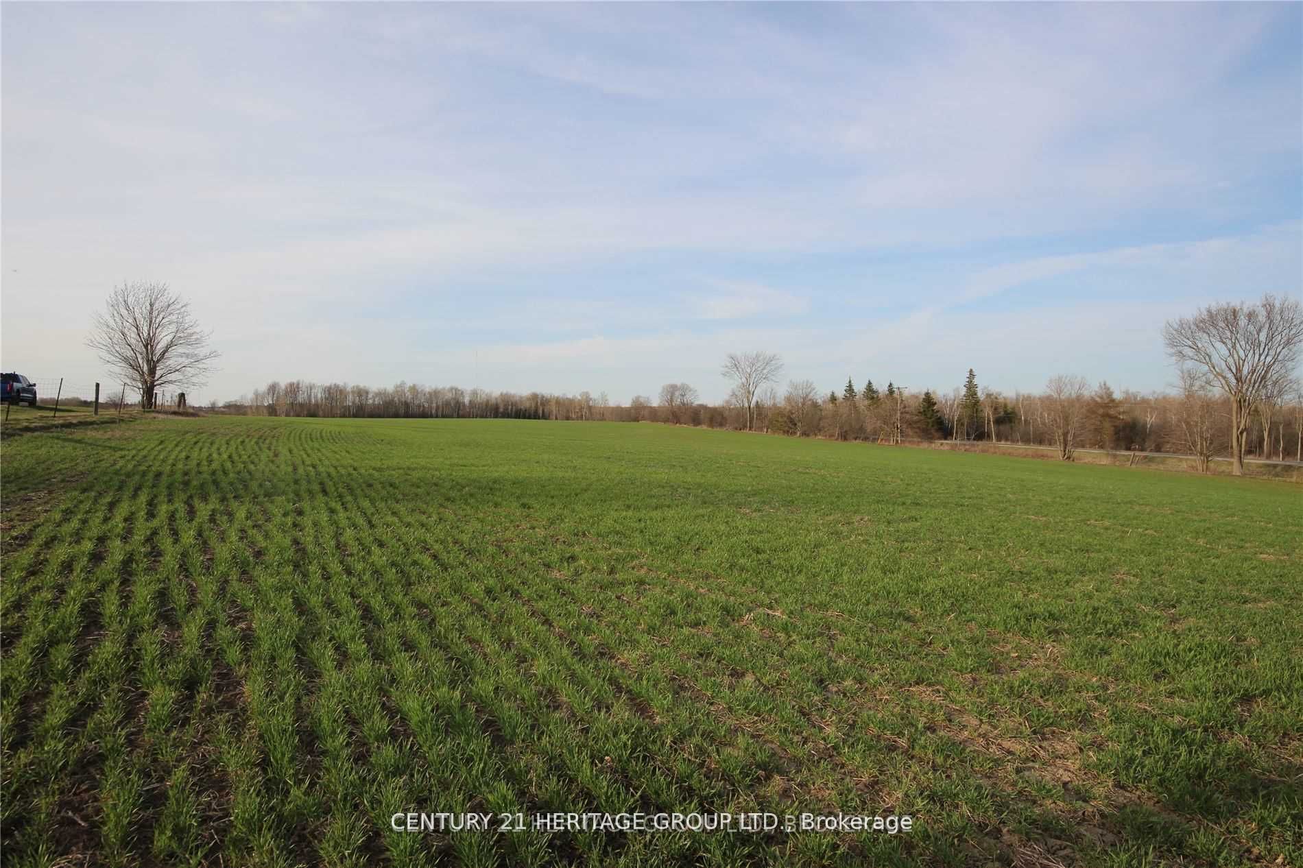 4 Stoney Creek Road E Property Photo 3