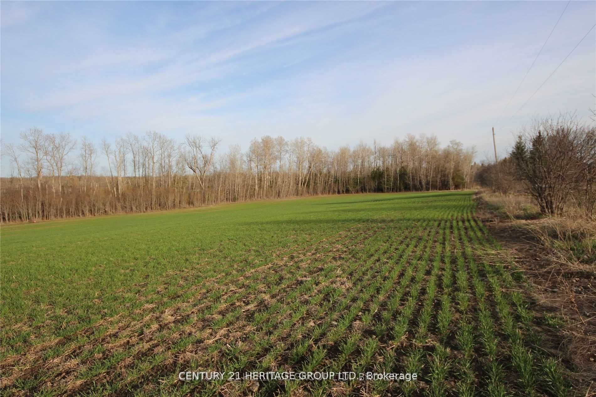 4 Stoney Creek Road E Property Photo 5