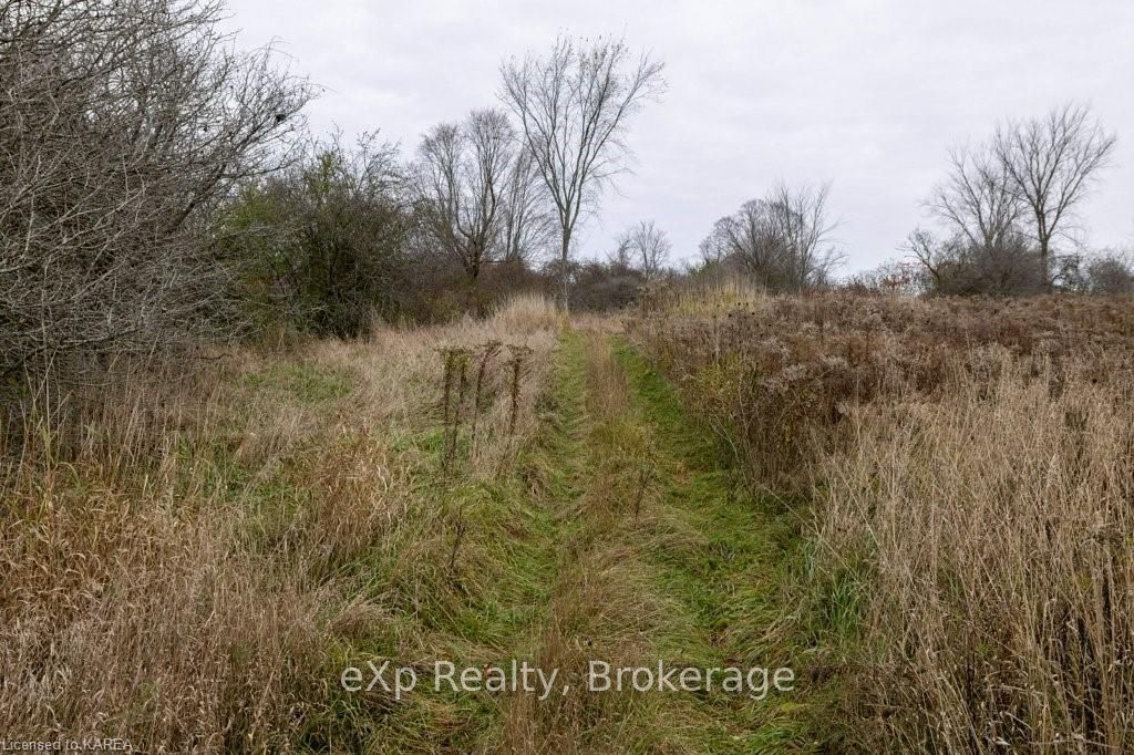 114 Hineman Street Property Photo 29