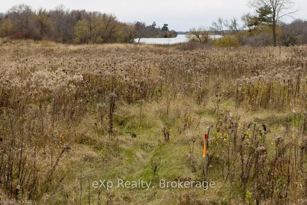 114 Hineman Street Property Photo 37