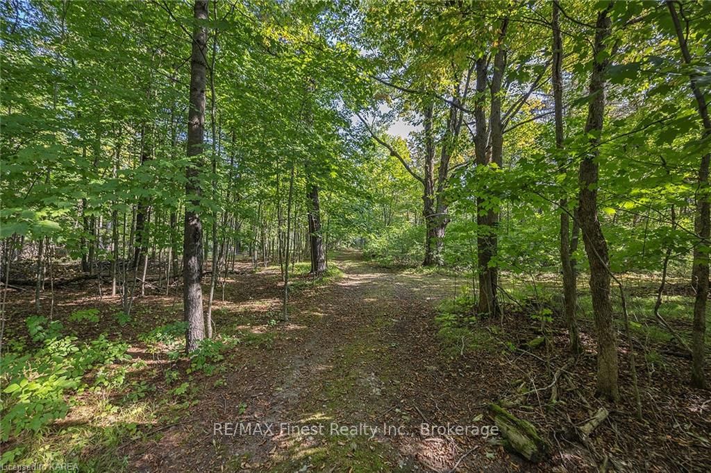 4733 Taylor Kidd Blvd Property Photo 33